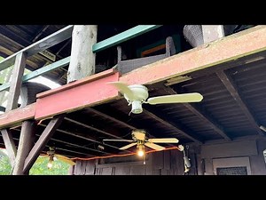 Ceiling Fan Destruction #45