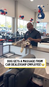 1M views · 10K reactions | The best day ever for this dog  | Dad Jokes | Facebook