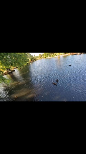 Good morning | James Man