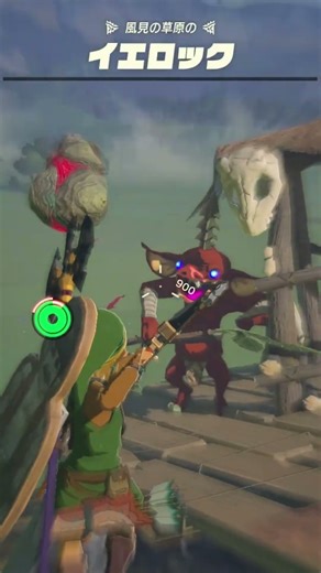 【ティアキン】風見の草原のイエロック ゼルダの伝説ティアーズ オブザキングダムNintendo Switch 2 Edition #zelda #shorts