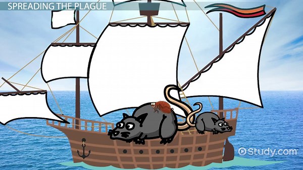 The Black Death Lesson for Kids: Facts & Symptoms