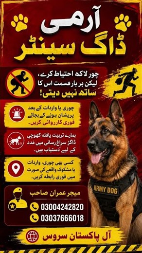 #armydog #khojidog #KhojiKutta #armydog #explorepage #fyp