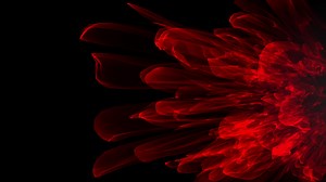 Download Beautiful Red Color Motion Graphic Background for free