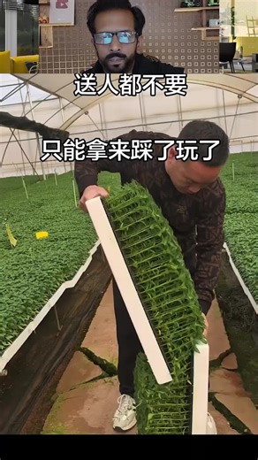 Indoor fruit and vegetables farming