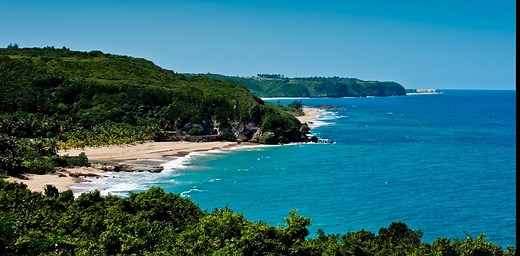 Coastal gentrification in Puerto Rico is displacing people and damaging mangroves and wetlands