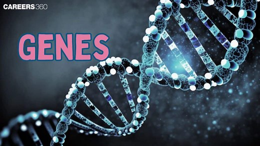 Genes- Definition, Structure, Expression, Facts, Characteristics, Functions