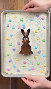 257K views · 2.8K reactions | yummy easter bunny treat this dessert video shows how to make a no-bake chocolate treat everyone will love for easter | Brooklyn B | Facebook