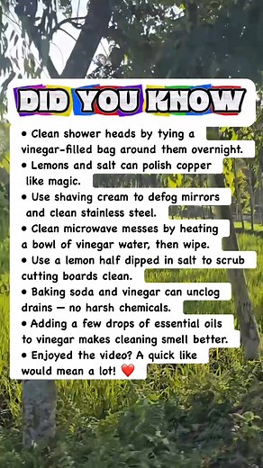 Genius Cleaning Hacks You’ll Wish You Knew Earlier ✨ | Devlop's Puzzle Game