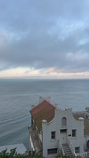 22 reactions · 5 comments | So. Many. Seagulls. Panorama of San Francisco Bay from Alcatraz. | Laura Marks | Facebook