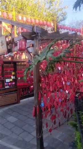 Why is this park in Shanghai FILLED with hearts? ❤️🇨🇳 #travel #china #short