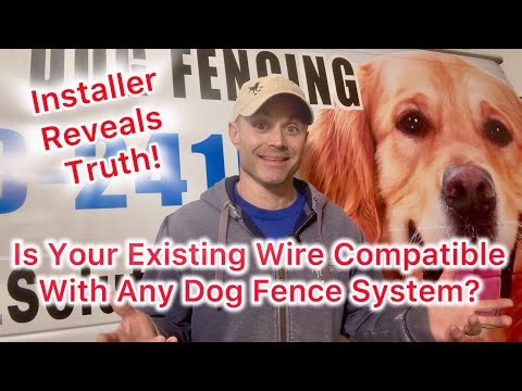 Can You Use Your Already Installed Wire With Any In-Ground Dog Fence System? Best Dog Fence In 2026