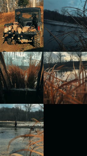 A Guide to Canadian Geese and Mallard Duck Hunting