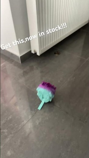 Hedgehog fliping Fidget