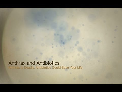 Anthrax and Antibiotics: Anthrax is Deadly. Antibiotics Could Save Your Life.