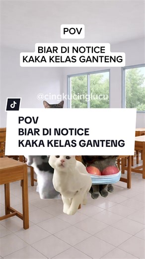 Meme Kucing Lucu dan Cara Menarik Perhatian