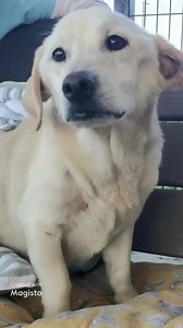 1.2K views · 195 reactions | Frosted Faces Foundation was the rescue...