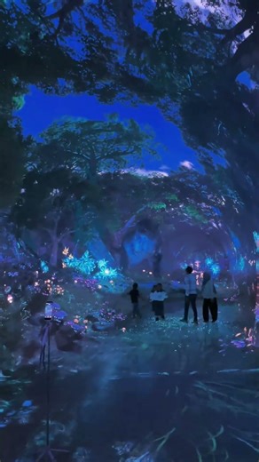 Discover a world beyond what you see every day
