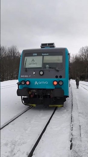 Arriva Train 🚆 #train #eisenbahn #lausitz #zug #locomotive