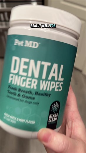 Safe for dogs, and a good option if you can’t always brush their teeth with a toothbrush 🪥🦷 #doghealth #dogcaretips #petcare #dogmom #dogdental