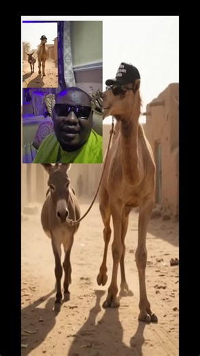#DanHassanGida @UBAN HARKALLAH