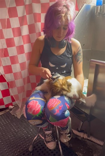 Little Blonde Ambitions on Reels