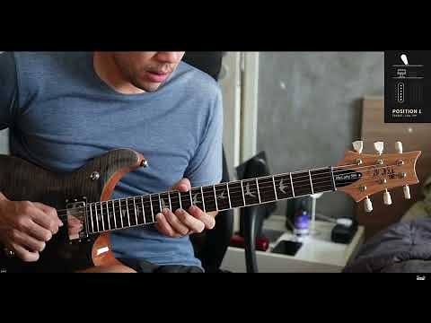 PRS SE McCarty 594 / Pickups Controls (Push-Pull Switch) - Game Guitarist