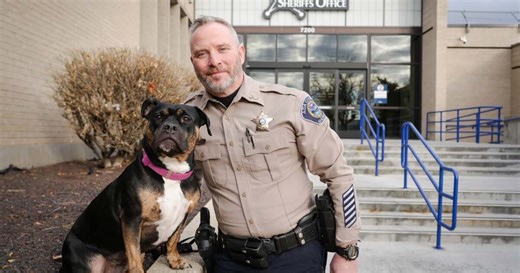 Ada County Sheriff's dog brings joy and stress relief to staff