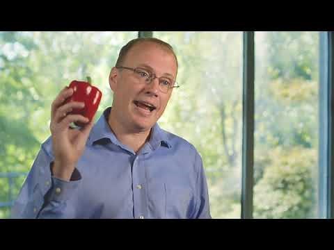 Understanding Plant Breeding | Bayer