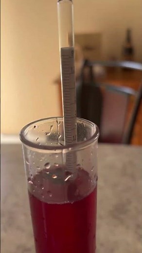 How to Make Wine - Taking a Hydrometer Reading After Grinding the Fruit. How to Use a Hydrometer