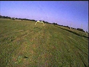 FPV race