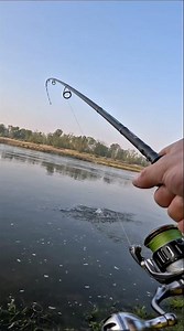 This Fish Hit Too Fast 😱