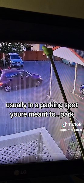 PointerPatrol on TikTok