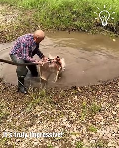 18K views · 31 reactions | Catching a fish like a pro! | Smart Home | Facebook