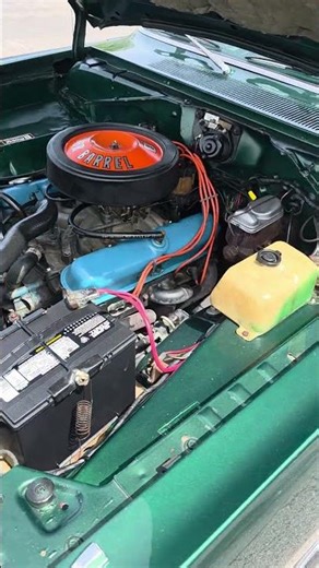 1974 Dodge Dart Cold Start & Part 1 of walkaround