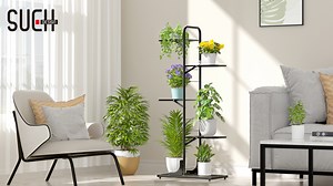Watch How to install the metal plant stand? on Amazon Live