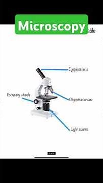 EVERYTHING you need to know about MICROSCOPY - GCSE Biology