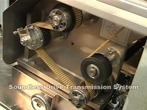 Tablet/Capsule Printing Machine-PPT32I