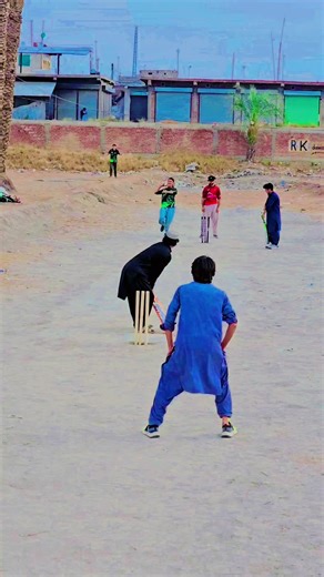 Real Sound Effects in Cricket Plays