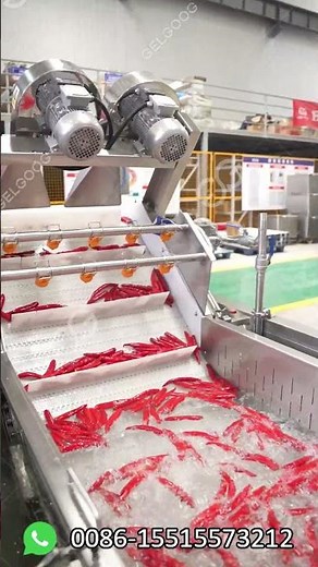 🌶What Is The Process of Making Chili Sauce?Chilli Sauce Making Machine