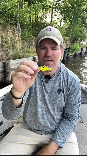 6.7K views · 25 reactions | The SPRO Little John Micro 45 Crankbait is made for tough, shallow-water conditions—delivering a tight wobble and subtle vibration that shines in cold water or heavy pressure. A go-to when bass get picky. See where it ranks in our bass lure review - https://www.fieldandstream.com/outdoor-gear/fishing/best-bass-lures  #BassFishing #LureReview #OutdoorGear #FieldandStream | Field & Stream | Facebook