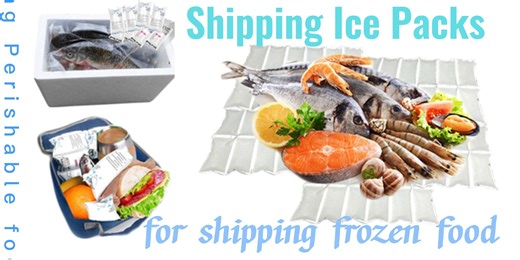 Watch Ice packs for shipping frozen food on Amazon Live