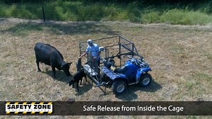 324 reactions · 110 shares | Safety Zone Calf Catchers are designed to enable Safety and Labor Savings when processing calves | Safety Zone Calf Catchers | Facebook