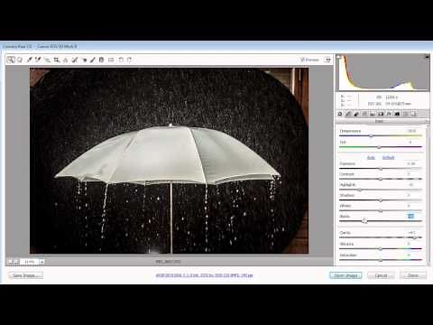 Photography in the Rain: Take & Make Great Photography with Gavin Hoey: Adorama Photography TV