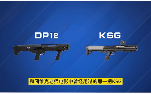 战术霰弹DP12和KSG傻傻分不清楚？