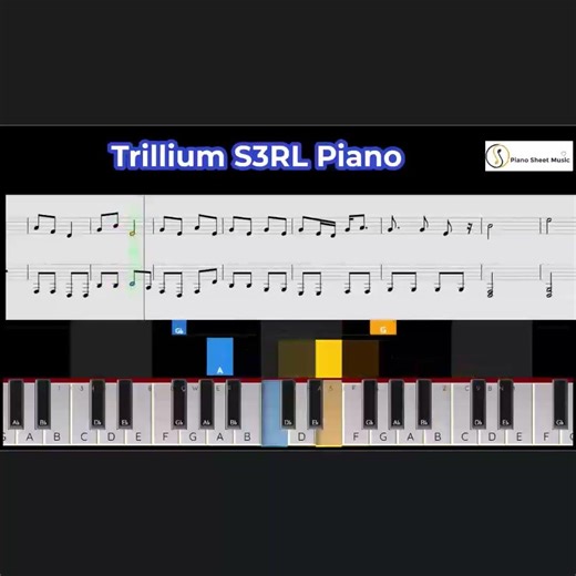Trillium S3RL Piano