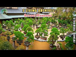 5 Bonsai Museums Preserving Living History of Ancient Trees