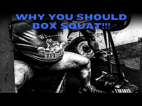 Why You Should Box Squat!!!