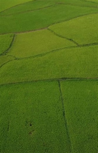 Muduvalli Heritage Homestay | website : www.muduvalliheritage.com Facebook and Instagram: muduvalli heritage homestay | Instagram