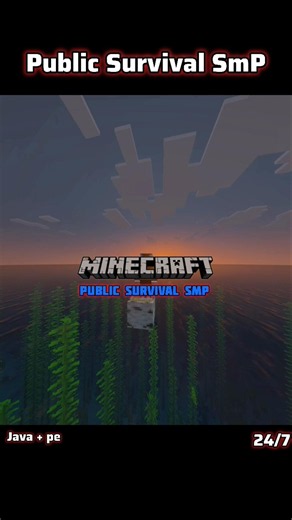 I Found The MOST UNDERRATED Minecraft SMP… Join Fast!