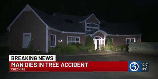 Tree worker dies after tree falls in wrong direction